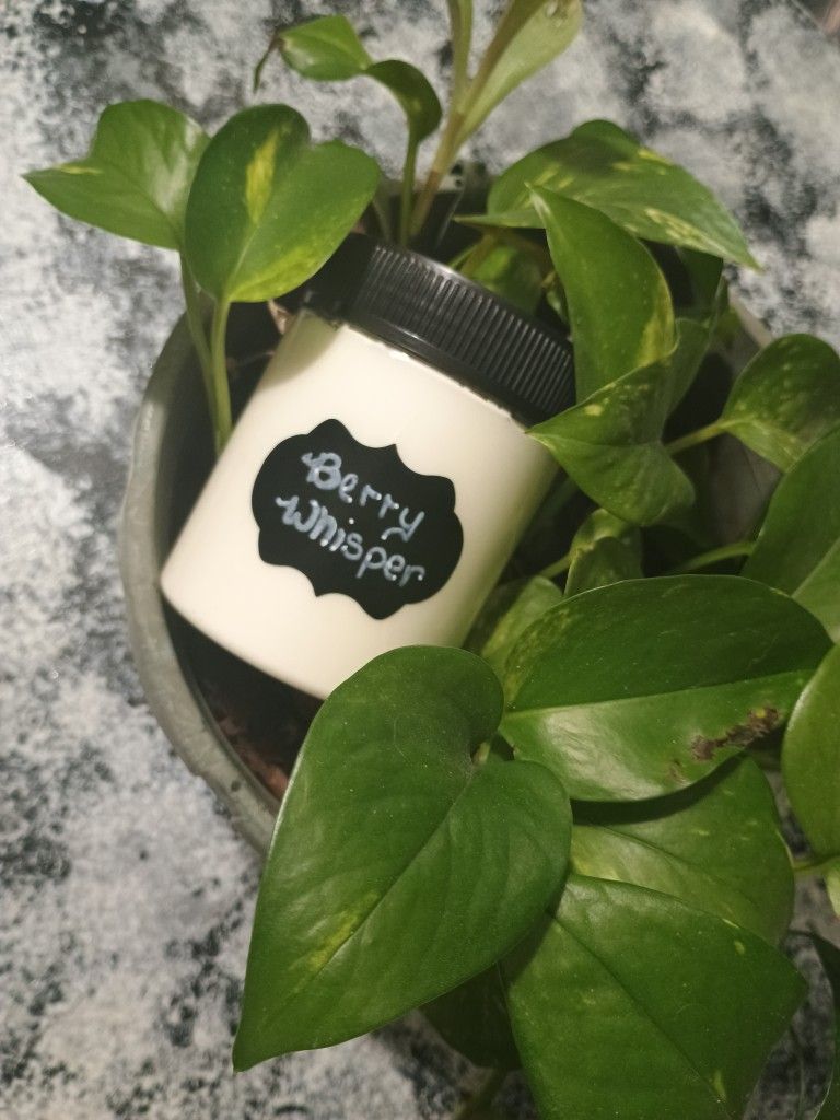 All Natural Body Butter And Lip Care