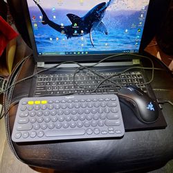 Sager N850 Gaming Laptop