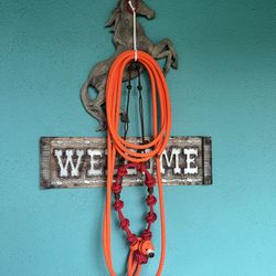 Training bosal with reins/ bosal con falsa rienda /horsemanship