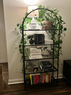 Black 5-shelf Arched Glass Bookcase