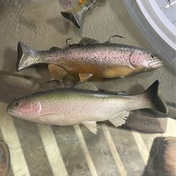 2 10 Inch Huddleston