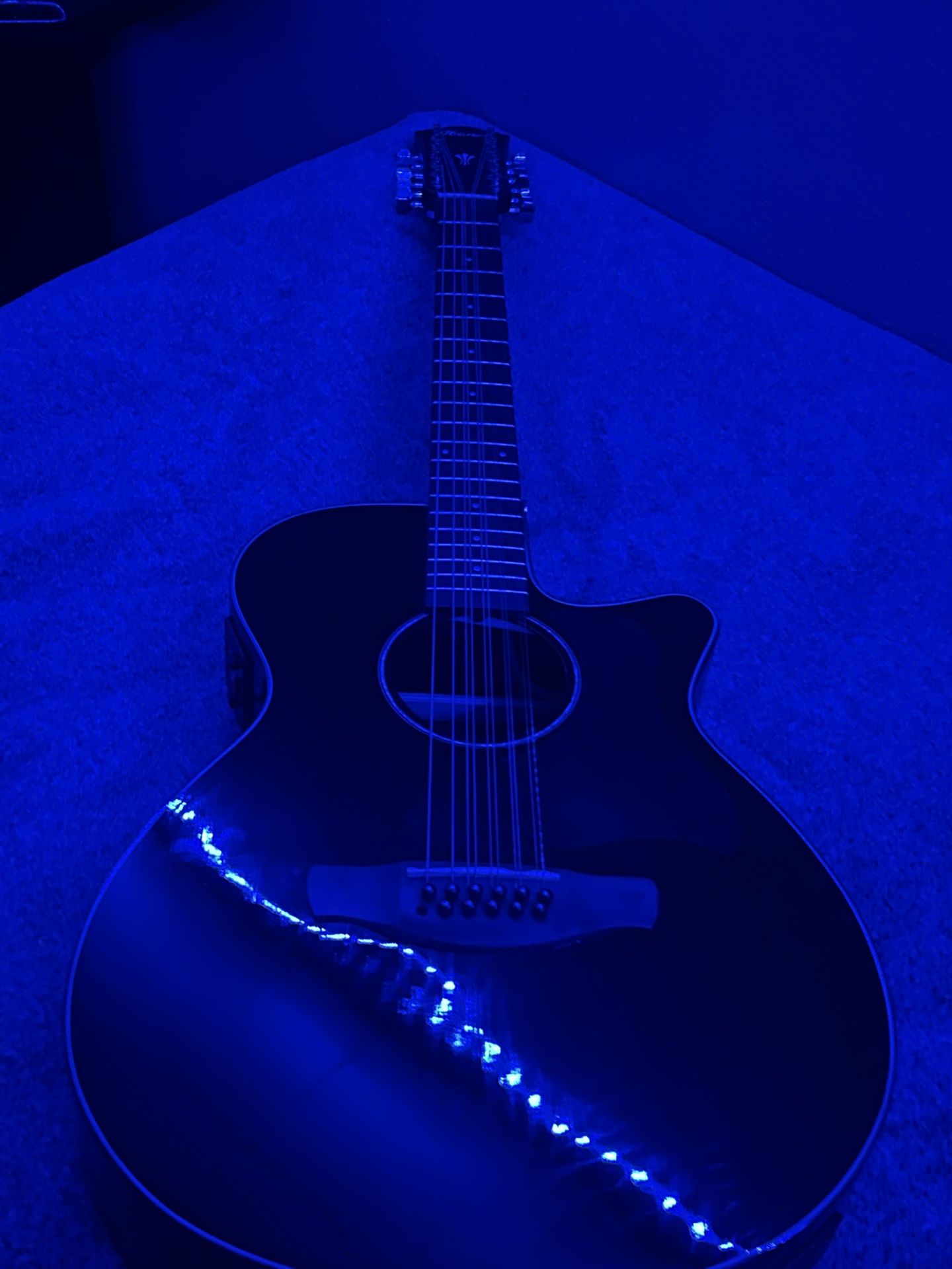 Ibanez Aeg5012