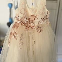 2T - 3T Party Flower Girl Dress
