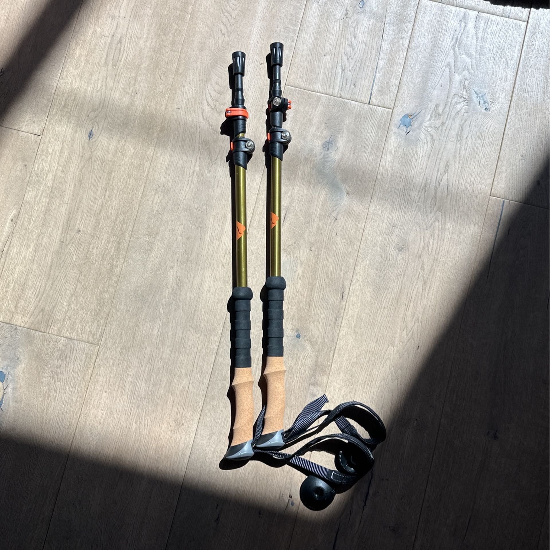 Ozark Trail Trekking poles