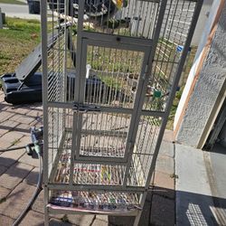 Bird Cage 