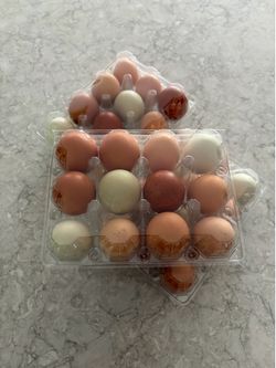 Pasture raised 🥚