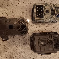 Trail Cameras 