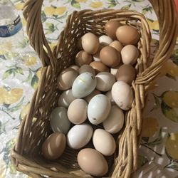 Organic Eggs 