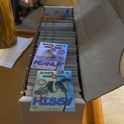 Beanie babies cards