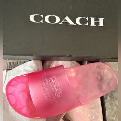 Coach Slippers 