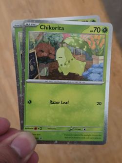 Chikorita promo
