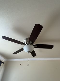 Ceiling Fan