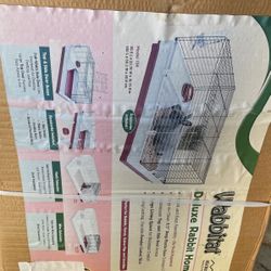 Rabbit Home New 60