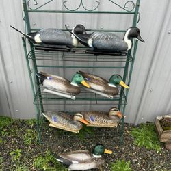 Decoys 