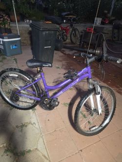 24in girl bike