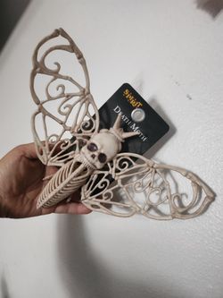 Death moth skeleton