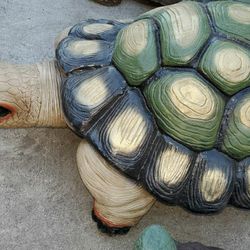Big Turtle For Sale