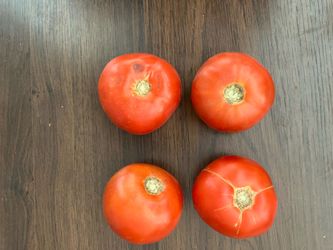 New Jersey (Delicious) Tomatoes