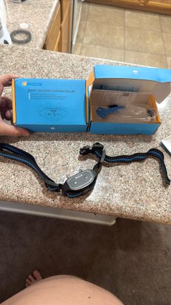 Modus Smart Dog Bark Control