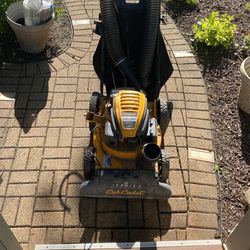 Leaf Vacuum