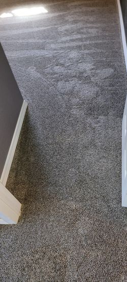 New Carpet & Pad