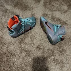 LeBron 12 NSRL