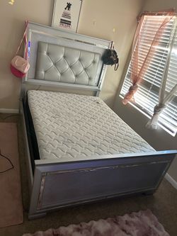 Begonia Panel Upholstered Bed