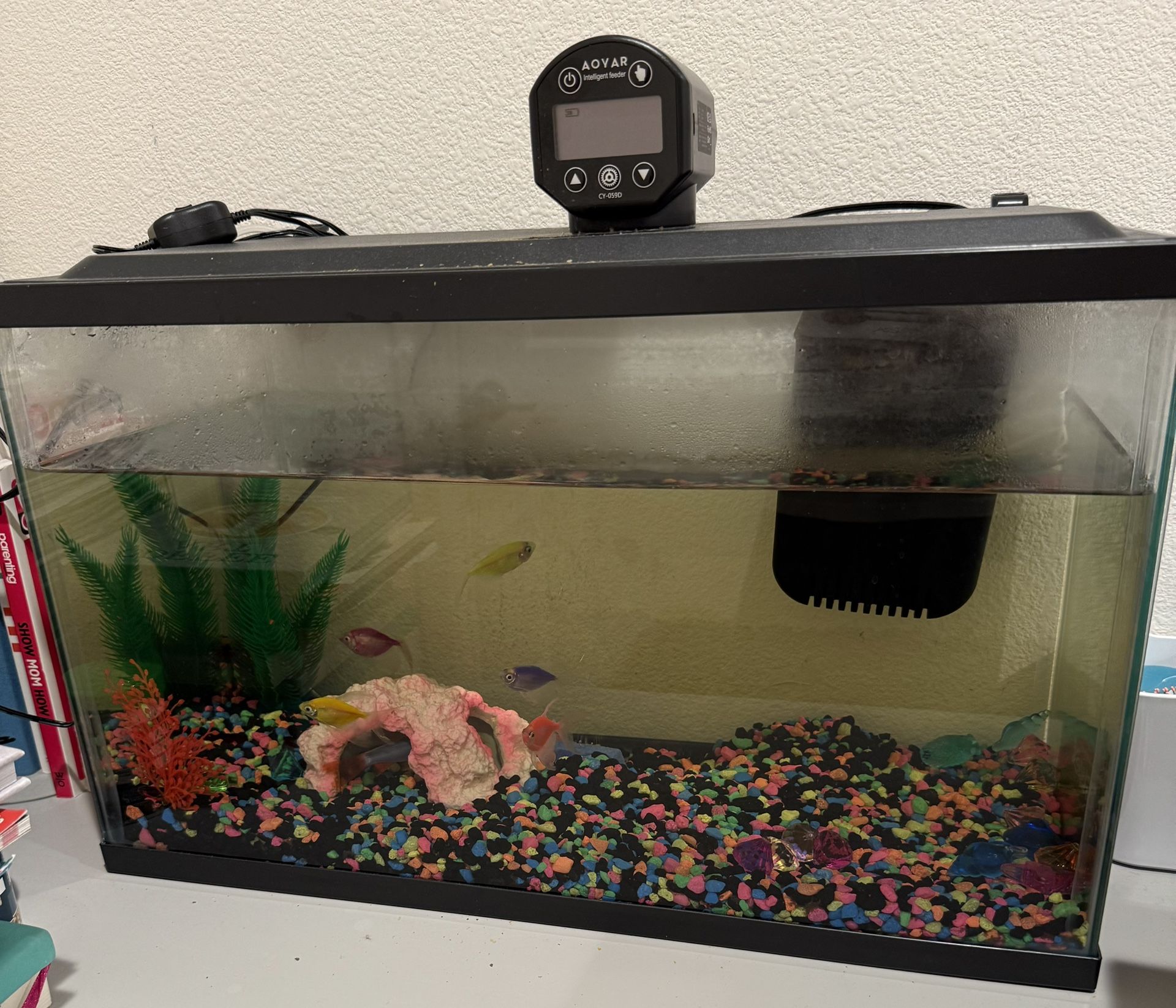 Fully Equipped 10gal Aquarium With 5 Neon Fish And One “shark”