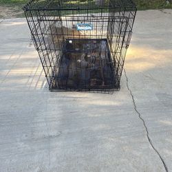 dog kennel