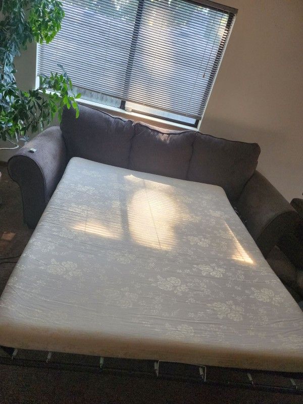Fold Out Sofa Bed for Sale in Seattle, WA OfferUp