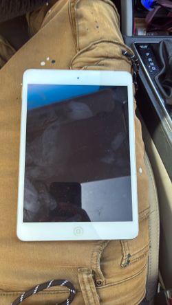 iPad