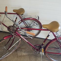  Murphy Brentwood 10 Speed Bicycles Matching Pair