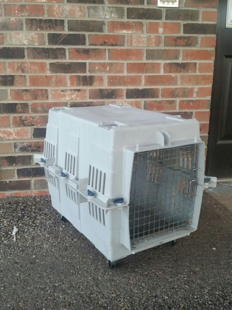 Stylette Kennel for Sale in Amarillo, TX OfferUp