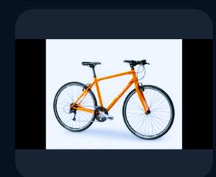 TREK BIKE