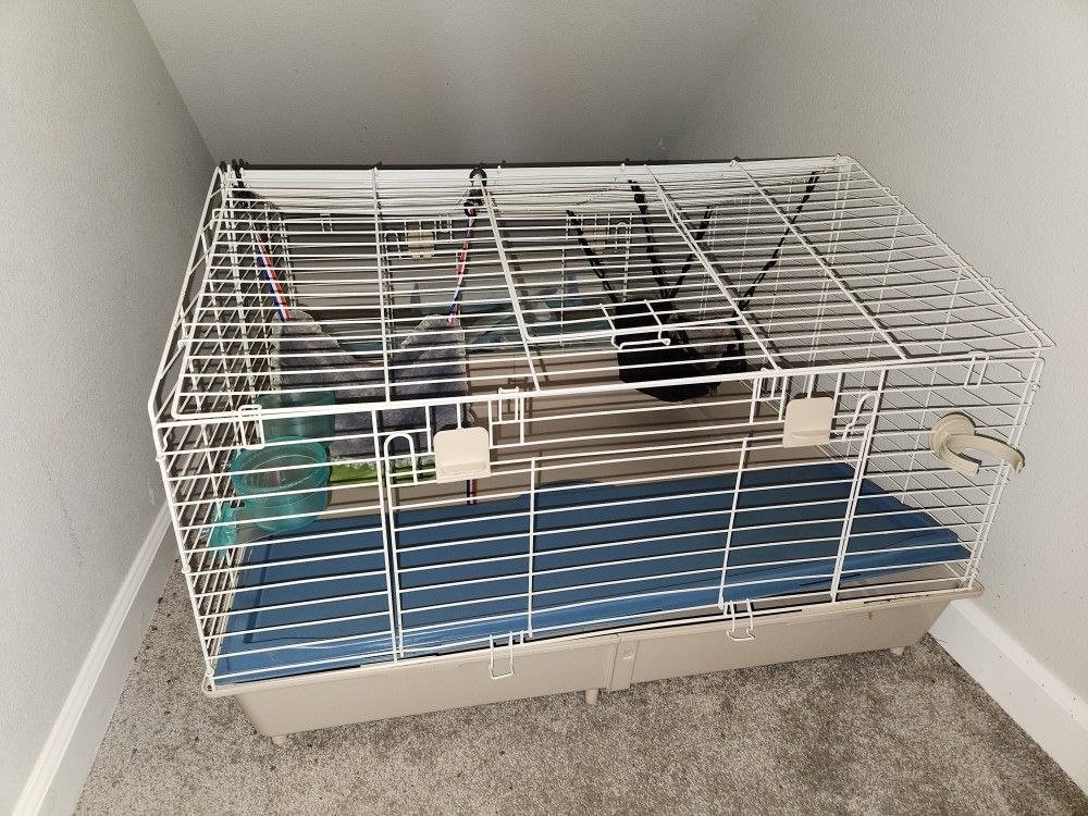 Ferret Accessories