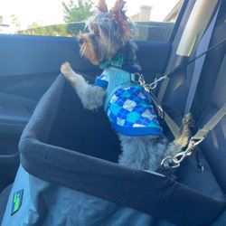 GooPaws Dog Car Seat 