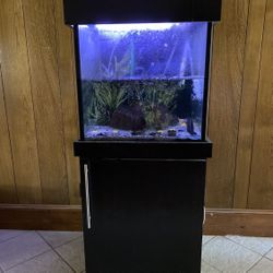 Standing Fish Tank With Accessories