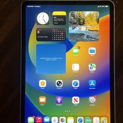 iPad Pro 4th Gen 11 Inch 