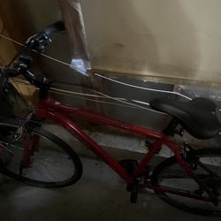 Trek Verve 3 