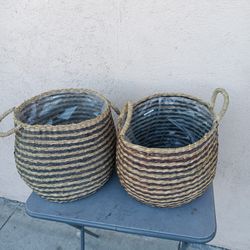 Plantas