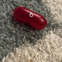 Beats Earbud Case (Alone)