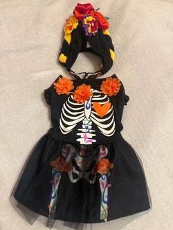 Dog costumes