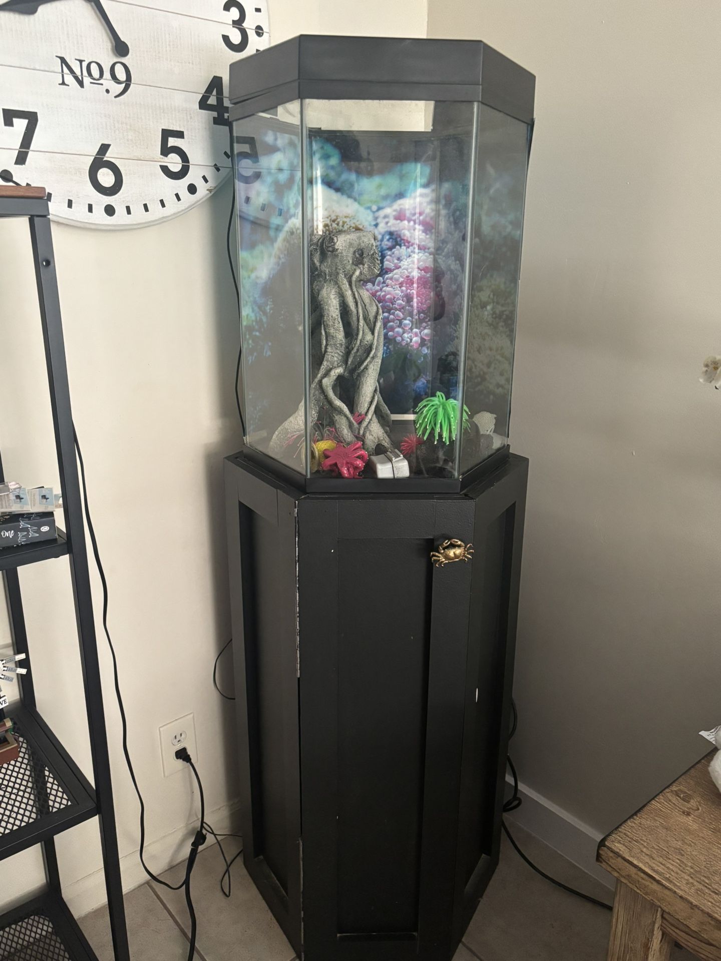35 Gallon Fish Tank