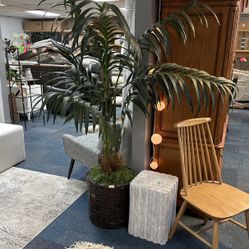 Accent Palm Tree
