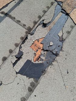 Residential Roof Repair Options – Protect Your Roof Before Damage Spreads