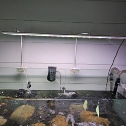 125 Gallon Fish Tank