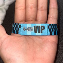 4 DAY VIP LOLLAPALOOZA