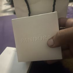 Pandora Bracelet 