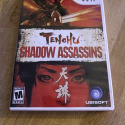 Tenchu Shadow Assassins