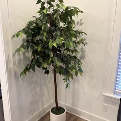 Artificial Decorative Plant
